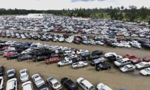 ارقام سكراب السالمي الماني