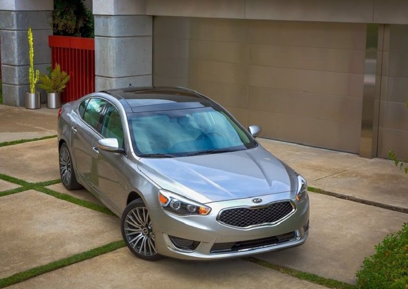 ارقام سكراب السالمي كادينزا 