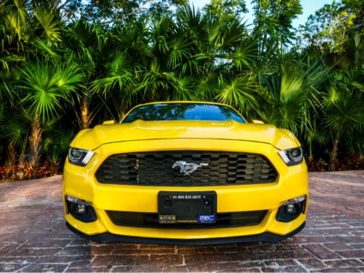 قطع غيار فورد موستنج